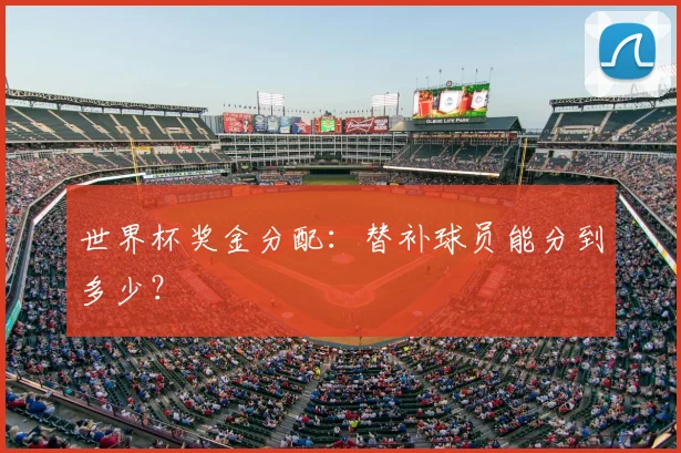 世界杯奖金分配：替补球员能分到多少？
