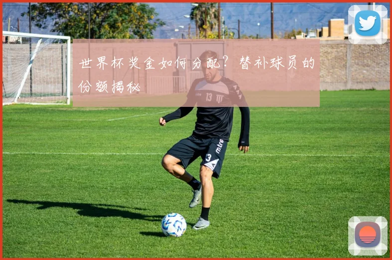 世界杯奖金如何分配？替补球员的份额揭秘