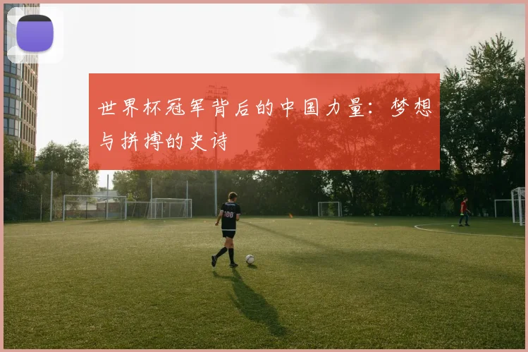 世界杯冠军背后的中国力量：梦想与拼搏的史诗