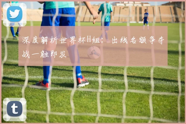 深度解析世界杯H组:出线名额争夺战一触即发