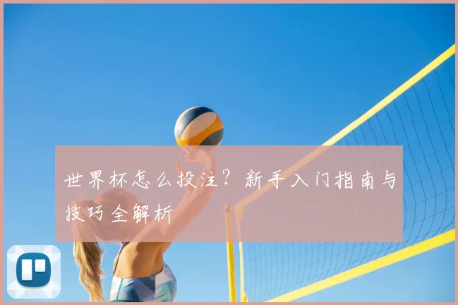 世界杯怎么投注？新手入门指南与技巧全解析