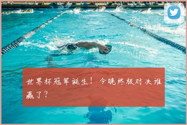 世界杯冠军诞生！今晚终极对决谁赢了？