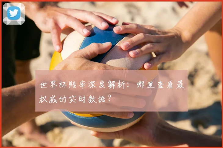 世界杯赔率深度解析：哪里查看最权威的实时数据？